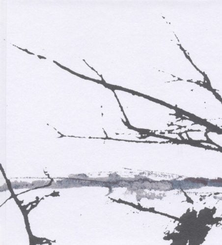 the album cover for Tenhi - Vare