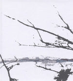 the album cover for Tenhi - Vare