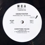 Eboni Foster : Everything You Do (2x12", Promo)
