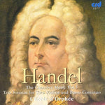 the album cover for Susan Sheppard - Chamber Music 5