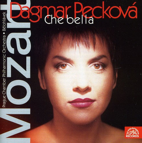 the album cover for Jiřà Sulženko - Arias