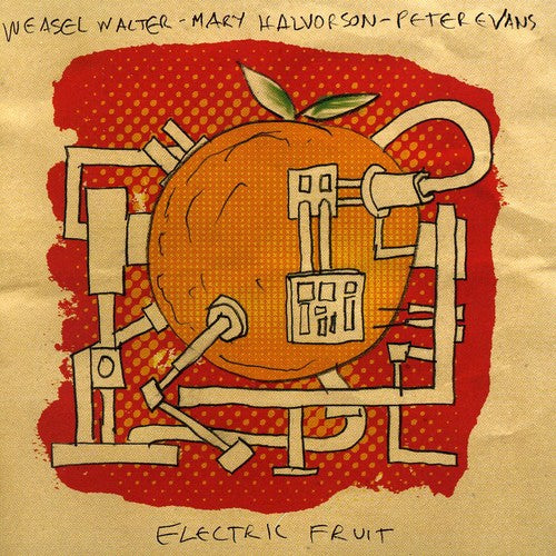the album cover for Mary Halvorson Quintet - Electric Fruit