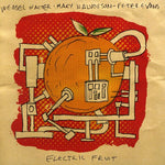 the album cover for Mary Halvorson Quintet - Electric Fruit
