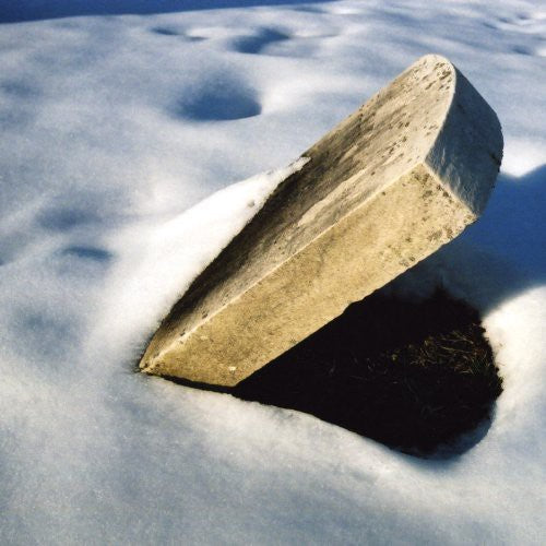 Paul Flaherty - Aria Nativa (Vinyl)