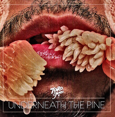 Toro y Moi - Underneath the Pine (レコード)
