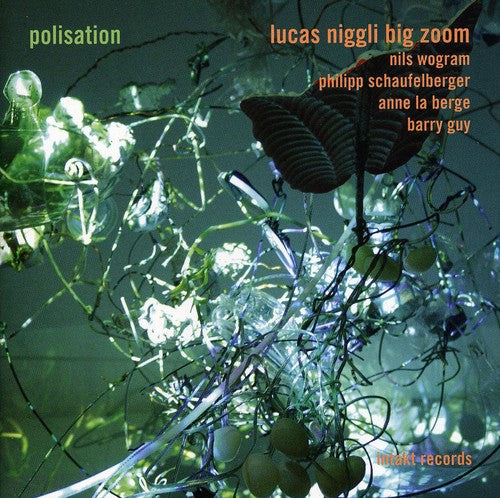 the album cover for Niggli - Polisation