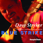 the album cover for Dave Stryker - Blue Strike