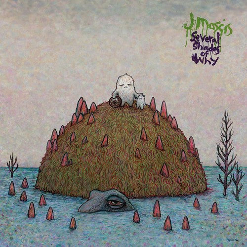 J Mascis - Varios matices del porqué (Vinilo)