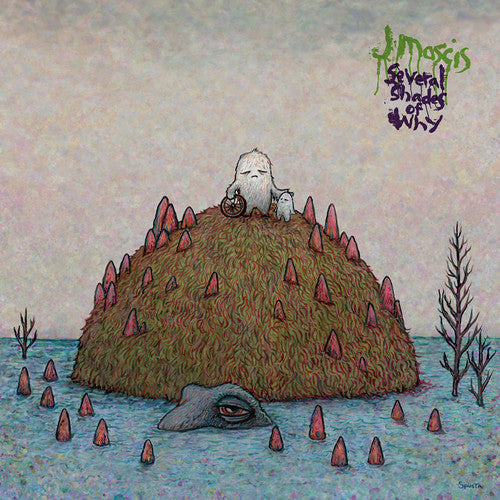 J Mascis - Varios matices del porqué (CD)