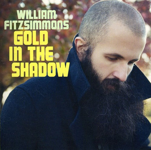 the album cover for William Fitzsimmons - Gold in the Shadow