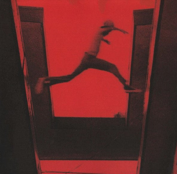 Mos Def : The Ecstatic (CD, Album)