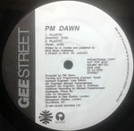 PM Dawn* : Plastic (12", Promo)