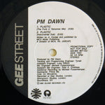 PM Dawn* : Plastic (12", Promo)