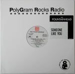 The Fountainhead : Someone Like You (12", Promo)