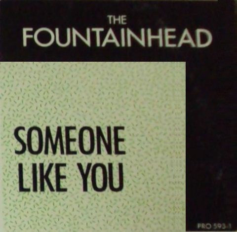 The Fountainhead : Someone Like You (12", Promo)