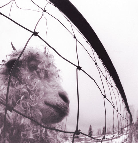 パール・ジャム - PEARL JAM / VS (レコード)