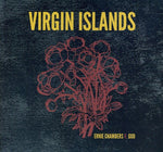 the album cover for Virgin Islands - Ernie Chambers v. God