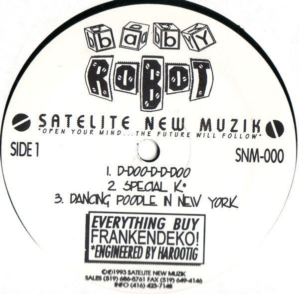 Baby Robot : The DJ Was Amazing (12")