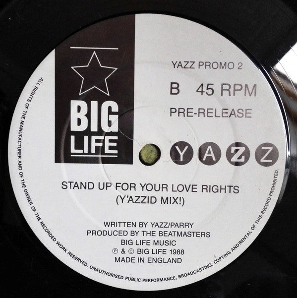 Yazz : Stand Up For Your Love Rights (12", Promo)