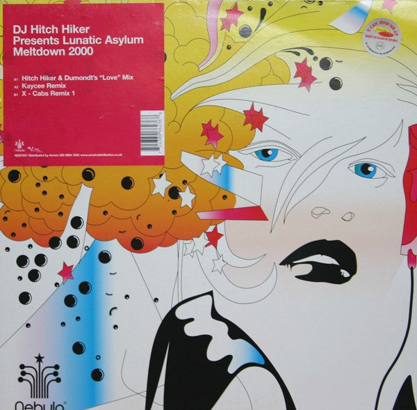 DJ Hitch Hiker Presents Lunatic Asylum : Meltdown 2000 (12")