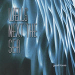 the album cover for Wells-Next-The-Sea - Guest House