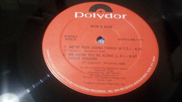 Bob & Bob : We Know You're Alone (12")