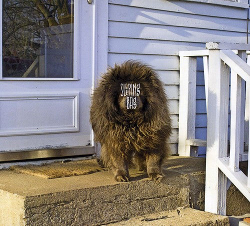 the album cover for Sleeping Bag - Sleeping Bag