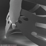 Kelli Schaefer - El fantasma de la bestia (vinilo)