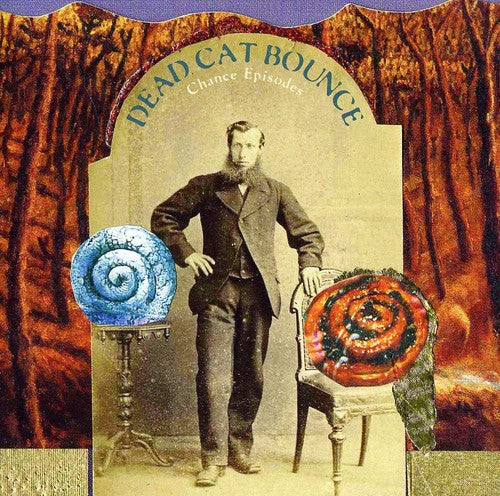 the album cover for Dead Cat Bounce - Chance Episodes