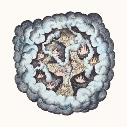 TW Walsh - Songs of Pain and Leisure (Vinyl)