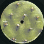 Crowded House : Dreamers Are Waiting (LP, Album)