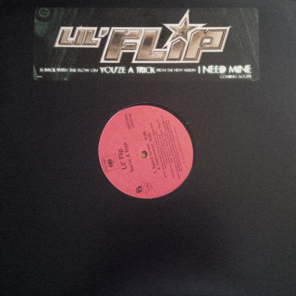 Lil' Flip : You'ze A Trick (12")