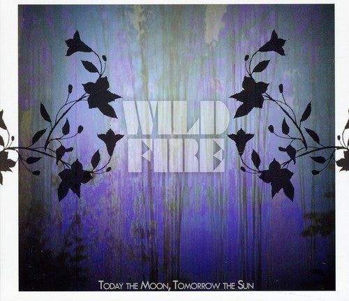 the album cover for Today the Moon, Tomorrow the Sun - Wildfire