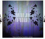 the album cover for Today the Moon, Tomorrow the Sun - Wildfire