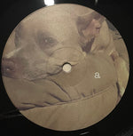 Kenny Segal : Indoors(LP, Album, Gat)