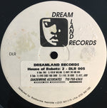DJ Romain & Matt "Keys" Echols* : House Of Robots: 2 (12", Promo)