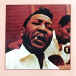 Muddy Waters : Folk Singer (CD, Album, RE, RM, 24 )