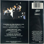 Sade : Nothing Can Come Between Us (CD, Mini, Single)