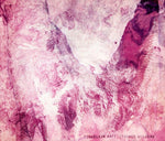 the album cover for Porcelain Raft - Strange Weekend