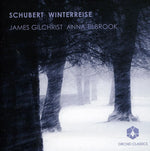 the album cover for Anna Tilbrook - Winterreise