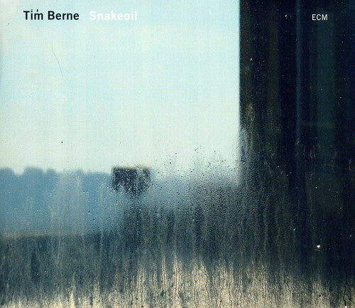 the album cover for Tim Berne - Snakeoil