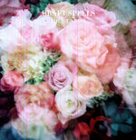 the album cover for Craft Spells - Idle Labor