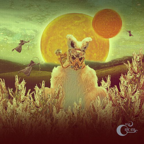 Mr. Gnome - Madness in Miniature (Vinyl)