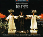 the album cover for Sue Patchell - Die Feen