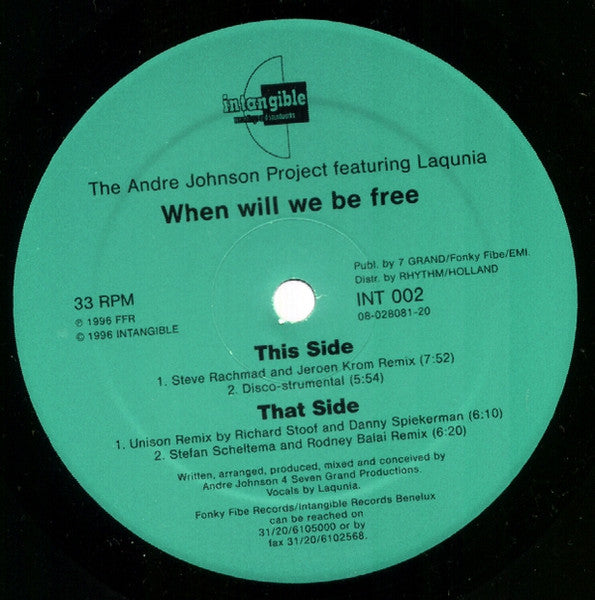 The Andre Johnson Project* Featuring Laqunia : When Will We Be Free (12")