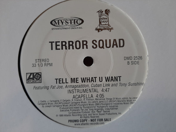 Terror Squad Featuring Fat Joe, Armageaddon*, Cuban Link And Tony Sunshine : Tell Me What U Want (12", Promo)