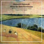 the album cover for Lavard Skou Larsen - Werk Fur Streichorchester