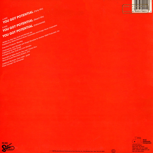 Menudo : You Got Potential (12")