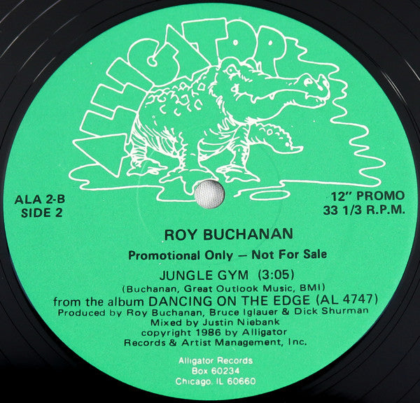 Roy Buchanan : You Can't Judge A Book By The Cover (12", Promo)