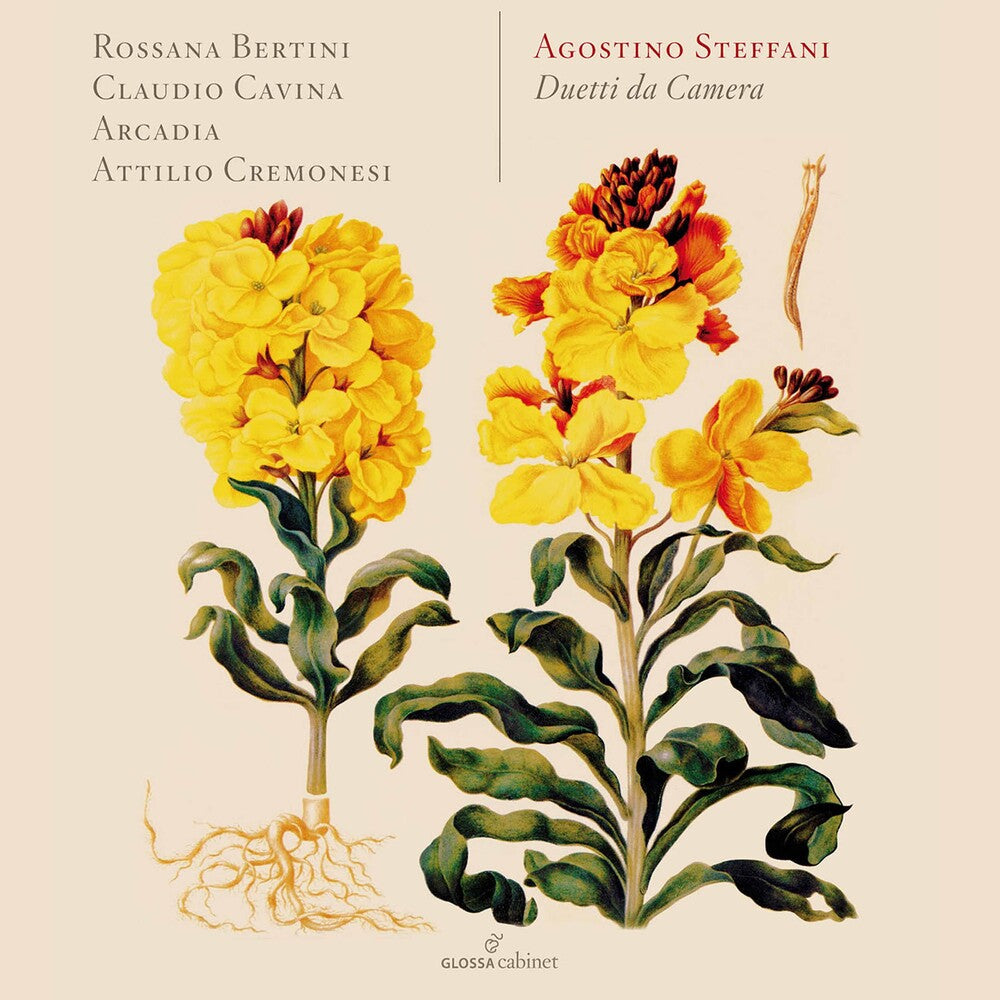the album cover for Steffani / Bertini / Cavina / Arcadia / Cremonesi - Duetti Da Camera